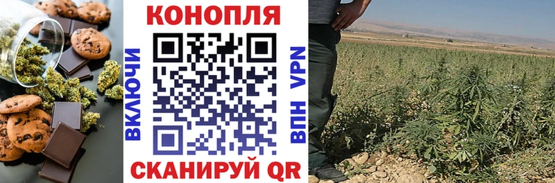 дарк нет наркотические препараты  Шацк  Печенье с ТГК конопля 
