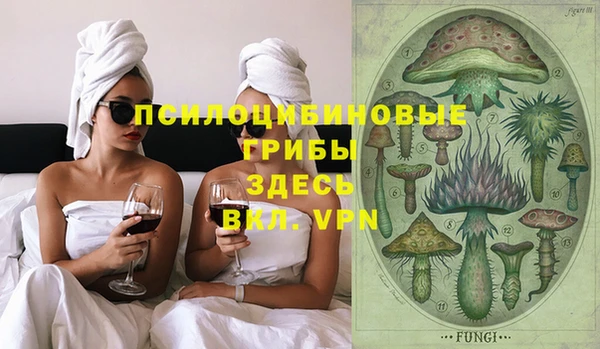 PSILOCYBIN Зеленокумск