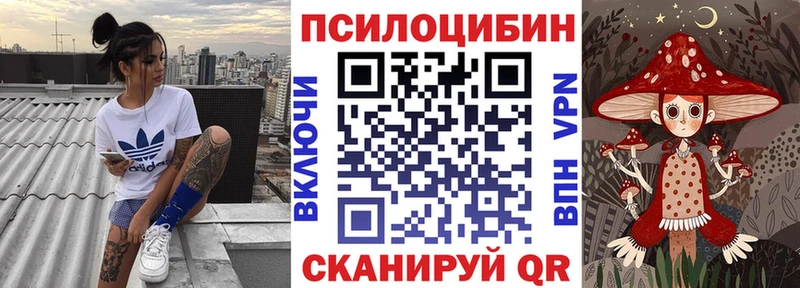 Галлюциногенные грибы ЛСД  где найти   Шацк 